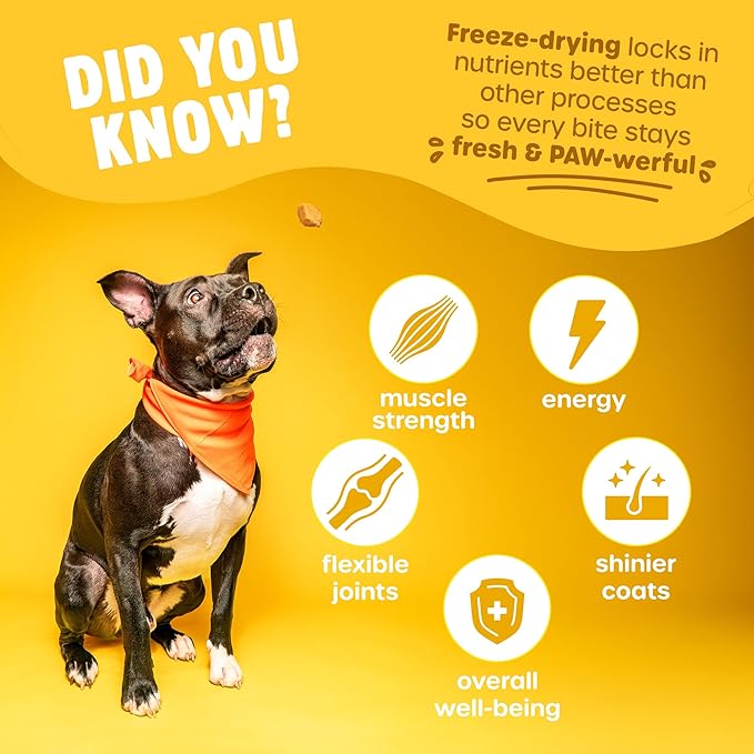 Freeze Dried Dog Treats - Wild Caught Salmon - Dog Food Dry Snacks - with Protein & Omega 3s - for All Breeds & Sizes - No Artificial Flavors & Dyes, No Preservatives - 1 Pouch, 4 oz-PurrikoPets