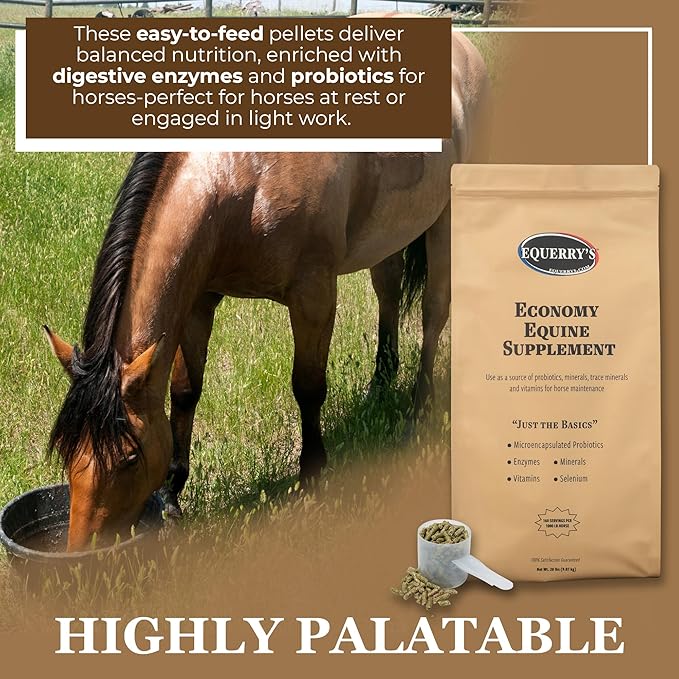 Equerry's Economy Equine Supplement - Horse Probiotics | Supplement for Horses | Horse Vitamins and Minerals Supplement with Enzymes and Selenium,20lb-PurrikoPets