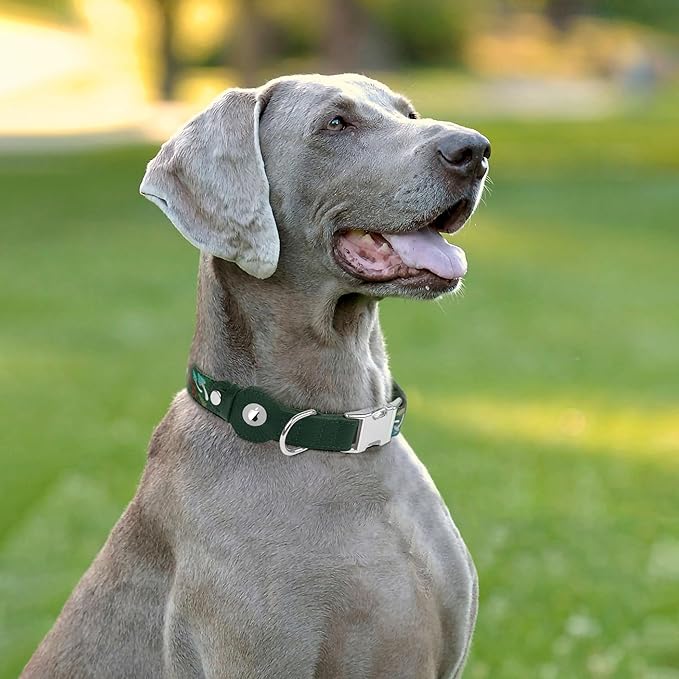 AirTag Dog Collar for Small Medium Large Breed - Adjustable Cute Pattern Dog Collar with Airtag Holder - Soft Leather Tracker GPS Apple Air Tag Pet Collars (X-Small, 9"-12" Neck Fit, Mushroom)-PurrikoPets