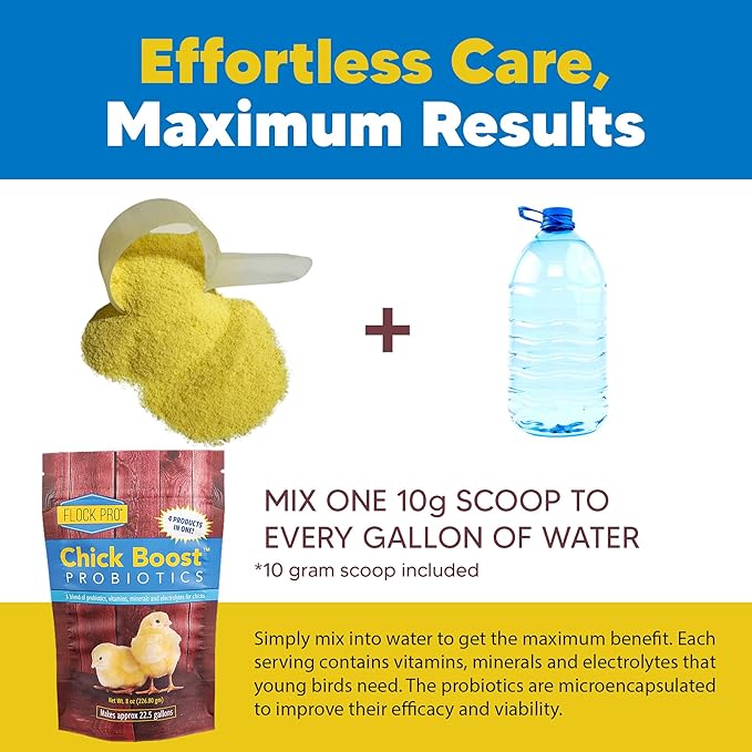 Equerry's Flock PRO Chick Boost Probiotic - Probiotics, Vitamins, Minerals and Electrolytes for Chickens | Chicken Vitamins and Supplements for All Poultry - 8oz-PurrikoPets