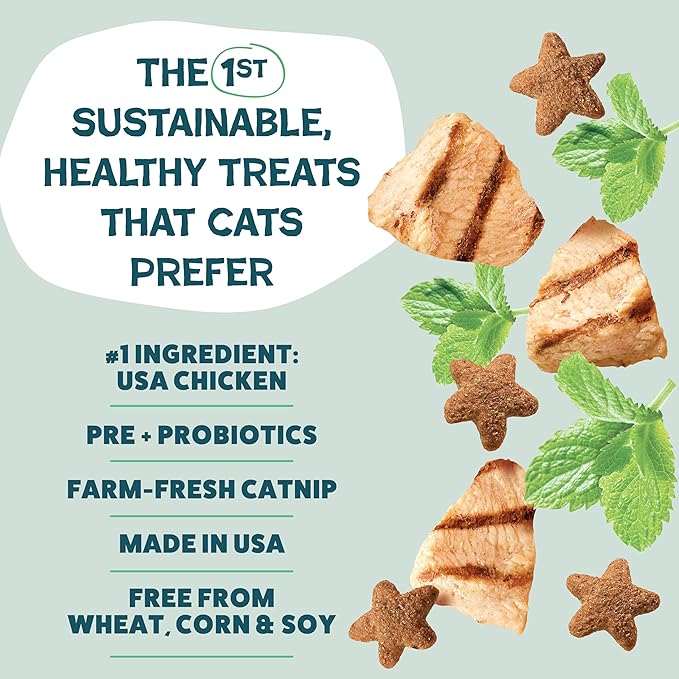 Shameless Pets Digestive Health Catnip Chicken Crunchy Cat Treats-PurrikoPets
