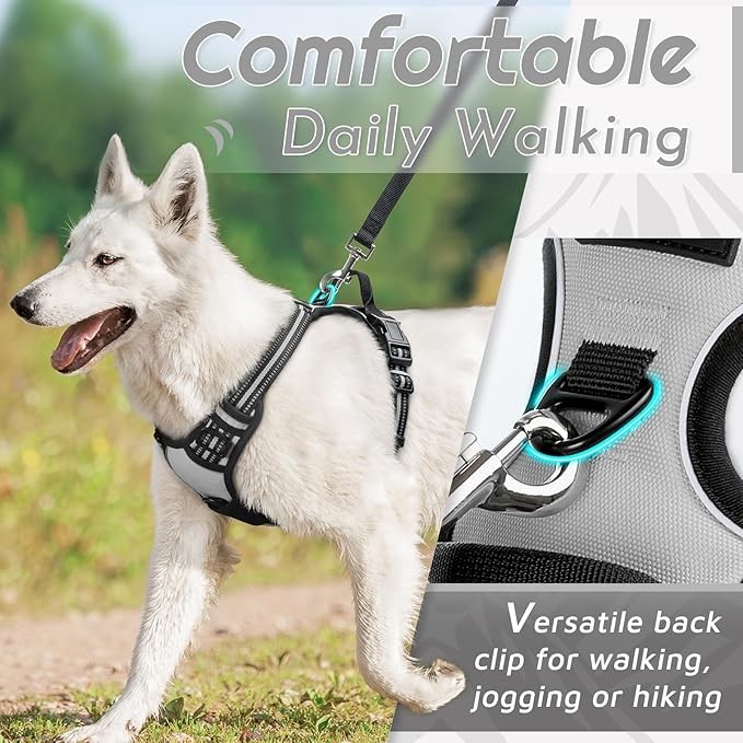 Eagloo Dog Harness Small Sized Dog, No Pull Service Vest with Reflective Strips and Control Handle, Adjustable and Comfortable for Easy Walking, No Choke Pet Harness with 2 Metal Rings, Grey, S-PurrikoPets