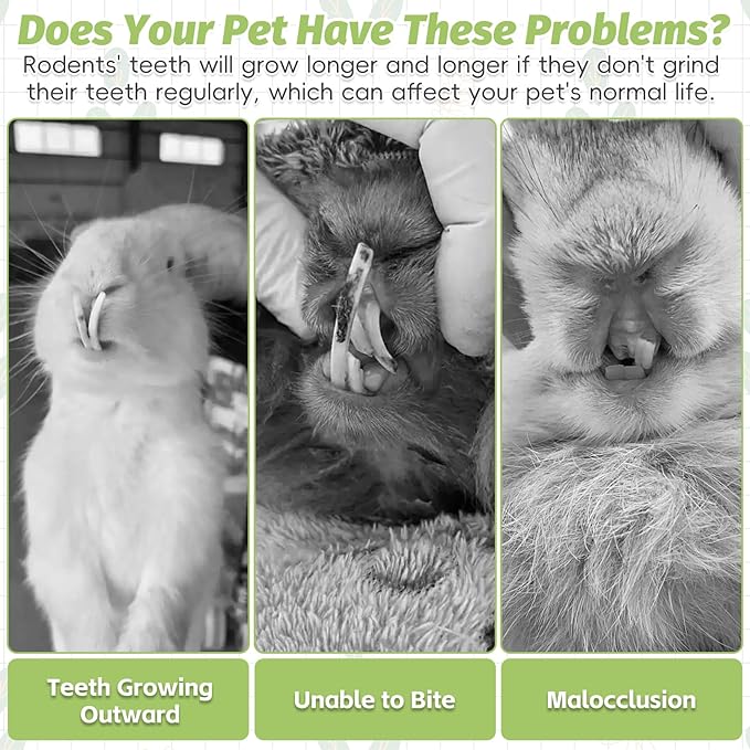 Fhiny 24 PCS Rabbit Chew Sticks, Natural Papaya Wood Seagrass Guinea Pig Chew Toys for Teeth Small Animal Molar Sticks Snacks for Bunny Guinea Pig Chinchilla Ferret Hamster Gerbil Dental Care-PurrikoPets