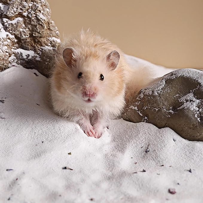 DR.DUDU Hamster Bath Sand, 6.6lb Dust Free Desert Sand or Potty Litter Sand for Hamster Chinchillas Gerbil Syrian Mice Small Animals (White, Flower Smell)-PurrikoPets