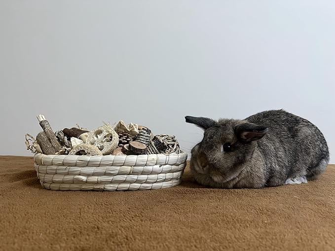 31PCS Rabbit Chew Treat Toys for Teeth Health, Natural Bunny Enrichment Toys for Boredom & Stress Relief, Keep Busy Toys for Guinea Pig Chinchilla Hamster Rat Gerbil Degu Indoor Outdoor-PurrikoPets