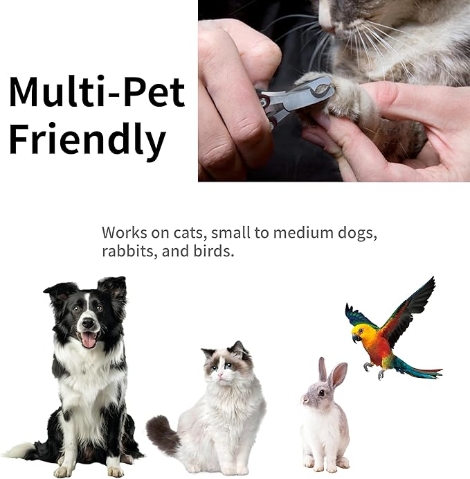 Dog Nail Trimmers & Dog Nail Clippers for Grooming - Small Dog Nail Clippers - Safe and Easy Stainless Pet Supplies-PurrikoPets