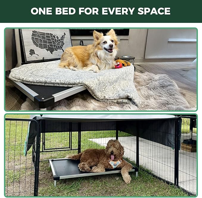 FXW TitanNest Chew-Proof Elevated Dog Bed, Raised Cot for Indoor/Outdoor/Camping Use, Durable & Waterproof Cooling Pet Bed for Medium Dogs, 41.0" L x 27.0" W x 5.0" H, Black-PurrikoPets