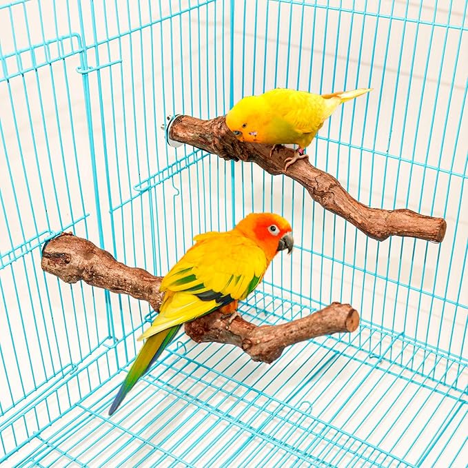 2 Packs Parrot Perch Stand,Natural Grapevine Wood Perch Parrots Cage Perch Toys Suitable for Small or Medium Parrots Parakeets Cockatiels Conures Lovebirds in Cage Accessories Supplies (Style-1)-PurrikoPets