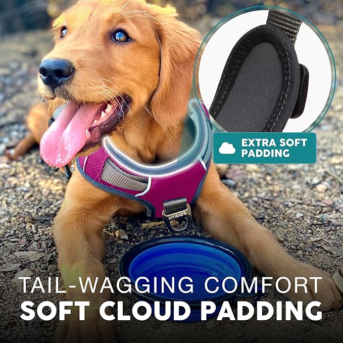 Embark Adventure Dog Harness, Reflective Trim No Pull Dog Harness for Large Dogs - Military Grade Nylon, Front Clip with Gel Lined Handle.-PurrikoPets