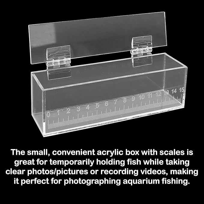 Fish Viewing Box Container with Lid and Scale, Acrylic Portable Fishing Mini Aquarium, Small Fish Breeder Hatching Boxes, Safe Tank Case for Breeding Egg Photo Isolation Outdoor Indoor-PurrikoPets