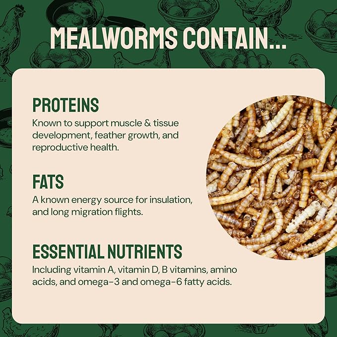 Dried Mealworms - 2 Lb Bag - High Protein Chicken Feed, Mealworms for Birds & Chickens - Meal Worms for Wild Birds & Turtles-PurrikoPets