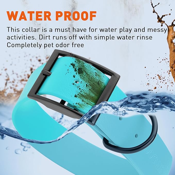 Dogline Biothane Waterproof Dog Collar Strong Coated Nylon Webbing with Black Hardware Odor- Proof for Easy Care Easy to Clean High Performance Fits Small Medium or Large Dogs, Sky Blue-PurrikoPets