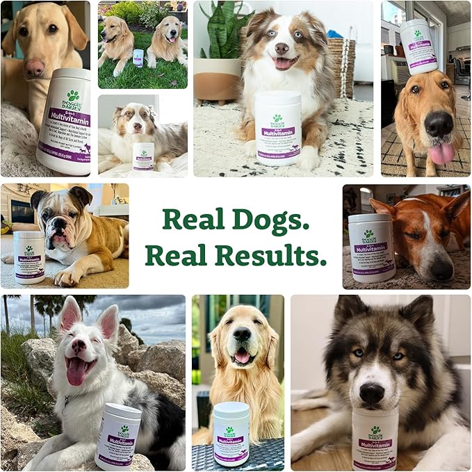 Doggie Dailies 5 in 1 Multivitamin for Dogs, Dog Multivitamin for Skin and Coat Health, Joint Health, Improved Digestion, Antioxidants, Support a Healthy Immune System (Peanut Butter) 225 Soft Chews-PurrikoPets