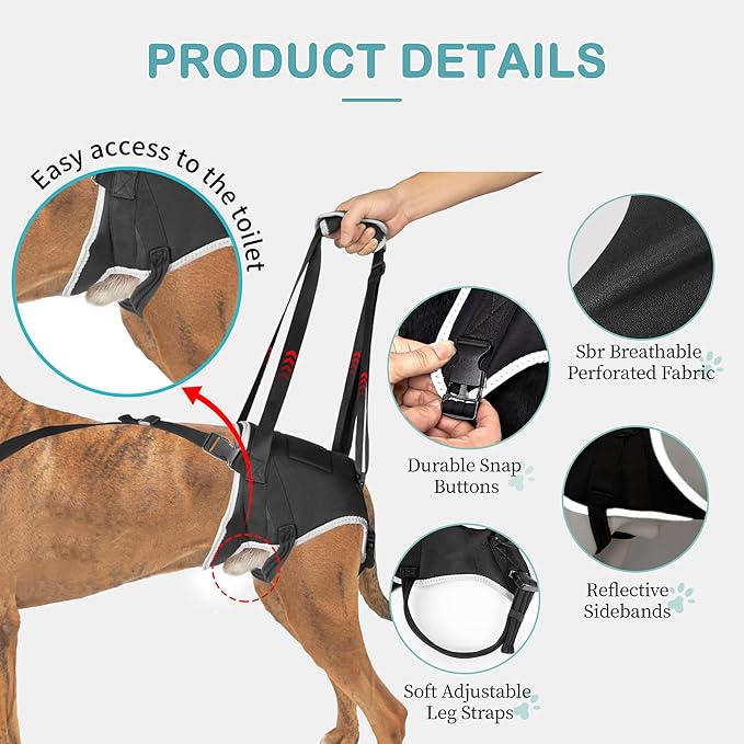 Dog Lift Harness for Large Dogs – Hind Leg Support Sling for Muscle Atrophy, Joint Pain, and Senior Pets, Adjustable Design Helps with Walking, Stairs, and Daily Mobility, L-PurrikoPets