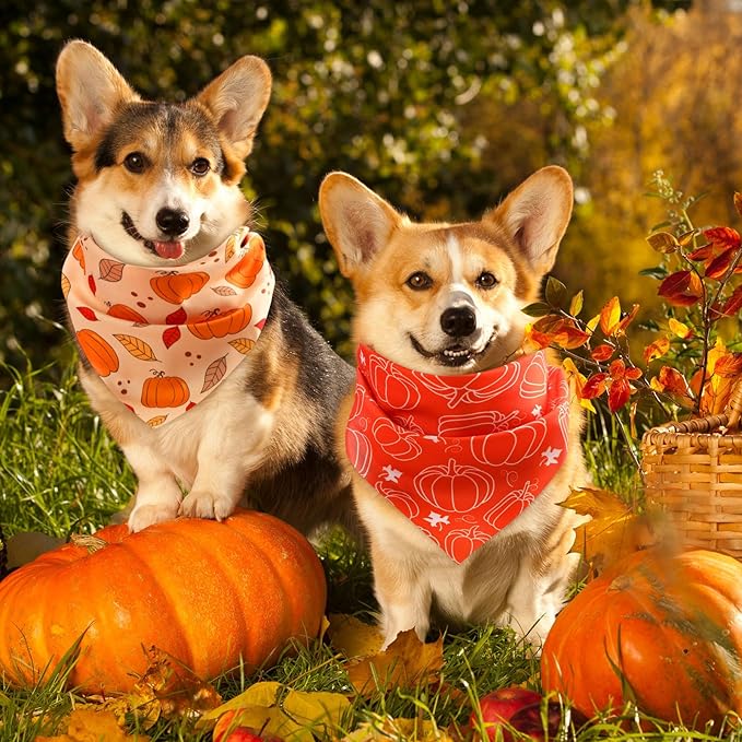Abbylike 50 Pcs Fall Dog Bandanas Bulk Pumpkin Bandanas for Dogs Triangle Kerchief Bibs Scarf for Small Medium Large Pets Autumn Thanksgiving Costume Accessories, 25 Styles (25.6 x 17.7 x 17.7 Inch)-PurrikoPets