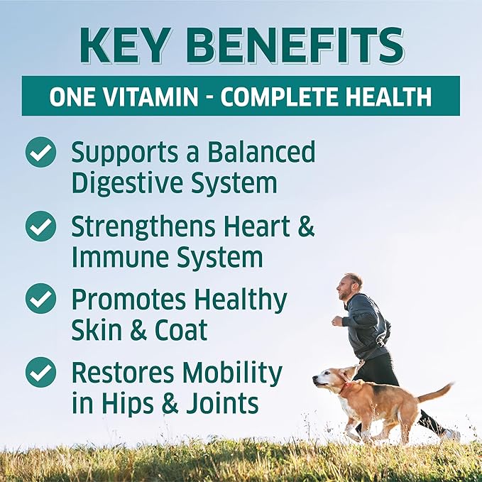 Dog Multivitamin - Dog Vitamins and Supplements - Digestive Enzymes & Probiotics - Probiotics for Dogs - for Skin and Coat Allergies - Immune System & Overall Health - 120 Soft Chew Dog Treats-PurrikoPets