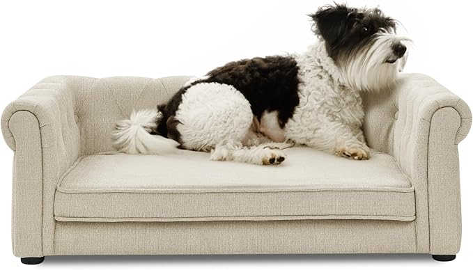 Dog Sofa Couch for Medium to Large Dogs, 31" Memory Foam Dog Couch with Washable Fabric, Removable Cushion, Sofa Bed for Medium and Large Dogs, Beige-PurrikoPets