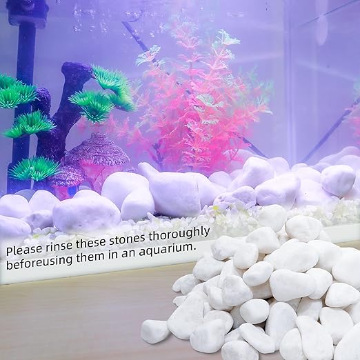 18LB 1"-2" White River Rocks for Plants, Polished Pebbles for Garden Landscaping, Planters, Aquariums, Vase Fillers – Indoor & Outdoor Decor-PurrikoPets