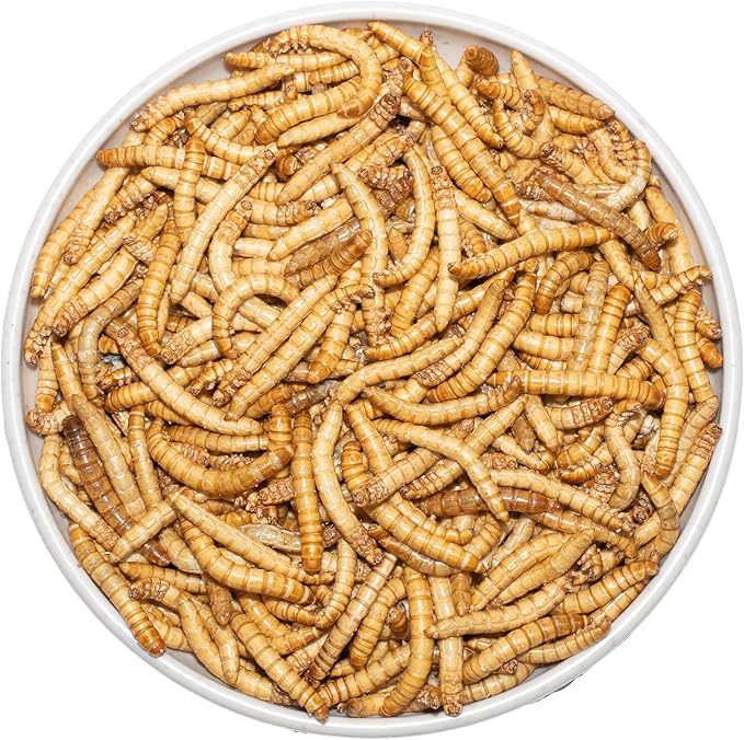 Freeze Dried Mealworms 6 Oz - High Protein Pet Food for Reptiles, Bearded Dragons, Birds & Hedgehogs - Nutrient-Packed Treat for Lizards, Geckos, Turtles, Chickens-PurrikoPets