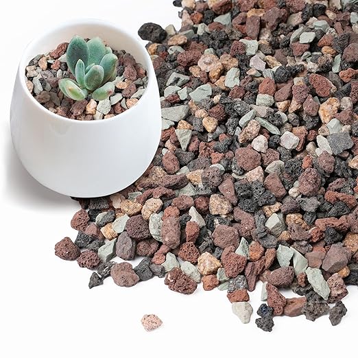 5lbs Terrarium Rocks for Pots Indoor, Succulent, Cactus, Bamboo, Bonsai Tree, 1/5 Inch Rocks for Planters Drainage, Mixed Color Small Lava Rocks for Top-Dressing-PurrikoPets