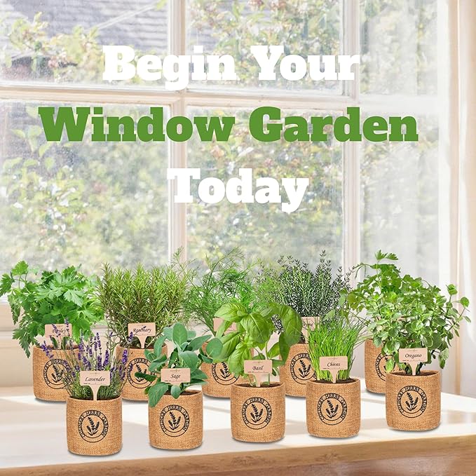 10 Indoor Herb Garden Kit- Burlap Pots, Organic Seeds, Herb Garden Planter Indoor Kit, Easy Window & Kitchen Herbs Growing Kit, Cilantro, Basil, Sage, Oregano, Parsley, Dill, Chives etc.-PurrikoPets