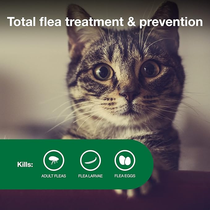 Advantage II Small Cat Vet-Recommended Flea Treatment & Prevention | Cats 5-9 lbs. | 12-Month Supply-PurrikoPets