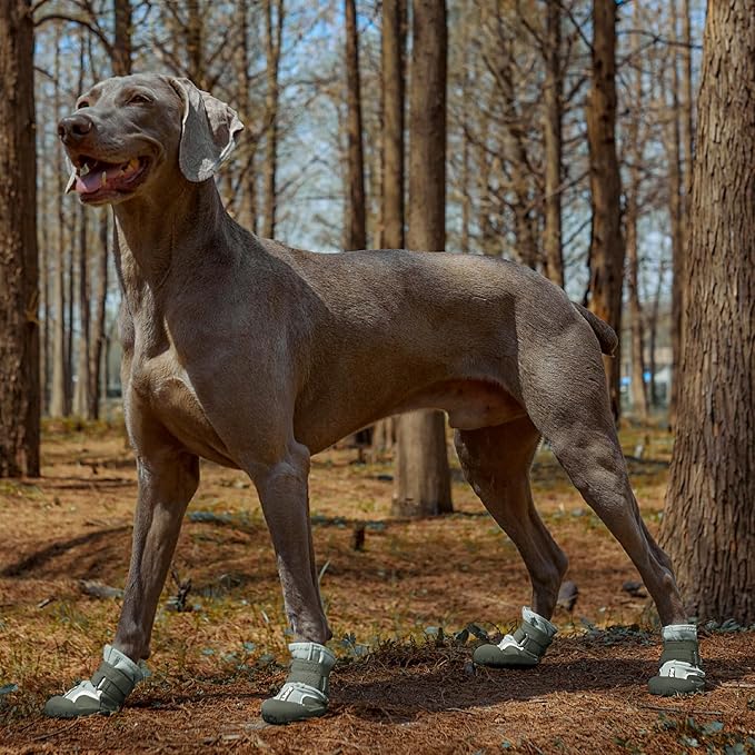 Dog Shoes, Waterproof Dog Boots & Paw Protectors with Anti-Slip Sole, 4pcs/Set Pet Dog Booties, Reflective Dog Shoes for Small Medium Large, Winter Snowy Summer Hot Pavement (Green, 8# (2XL))-PurrikoPets