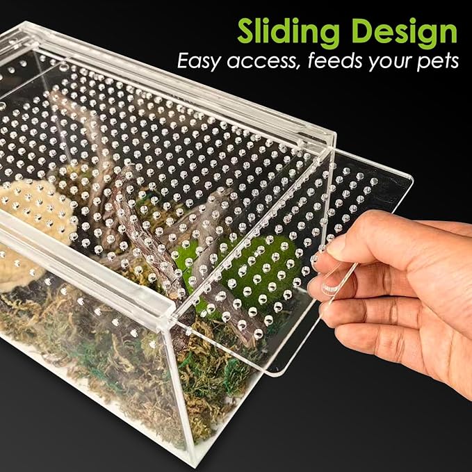 Acrylic Reptile Terrarium Enclosure 9.8" x 5.9" x 5.9" Magnetic Tarantula Breeding Box Transparent Insect Habitat for Jumping Spider Hermit Crab Lizard Sling Isopods Horned Frog Snake Gecko-PurrikoPets