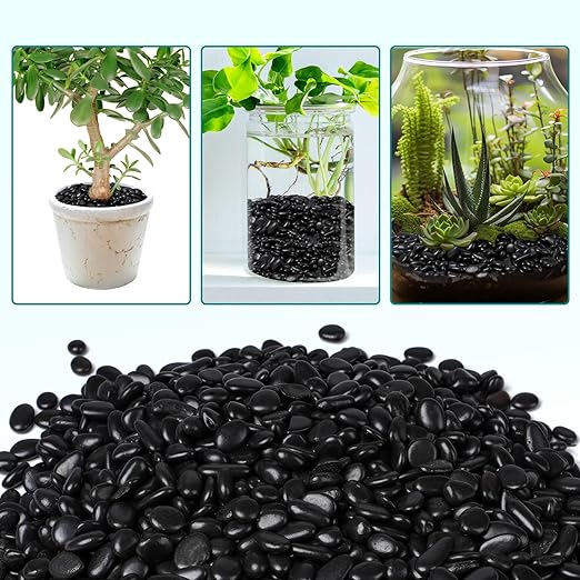 2.5 lbs Black Pebbles for Indoor Plants, 3/8" Small Rocks for Plants Indoor, Succulent, Bamboo, Vase, Decorative Black River Rocks Pea Gravel, Highly Polished-PurrikoPets