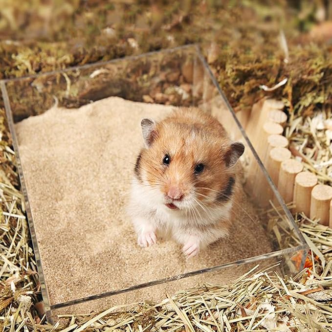 DR.DUDU Hamster Bath Sand, 12lb Dust Free Desert Sand or Potty Litter Sand for Hamster Chinchillas Gerbil Syrian Mice Small Animals (Beige)-PurrikoPets