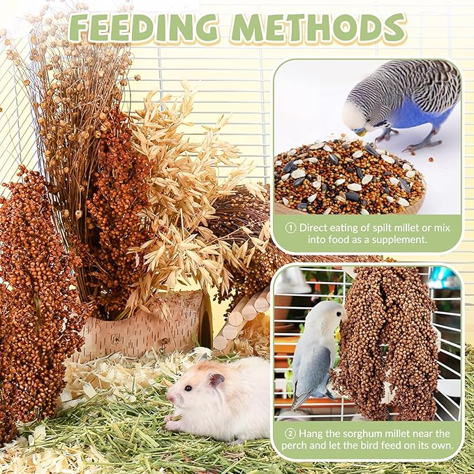 Fhiny Millet Spray for Birds, 6 PCS Natural Sun-Dried Red Sorghum Grain for Birds Seed Original Parrot Treats & Supplement Parakeet Food for Cockatiels Lovebirds Finches Budgies Pigeons Hamsters-PurrikoPets