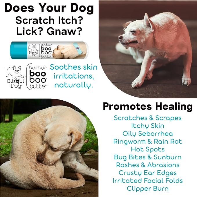 3 Cute Puppies Boo Boo Butter, 4 oz-PurrikoPets