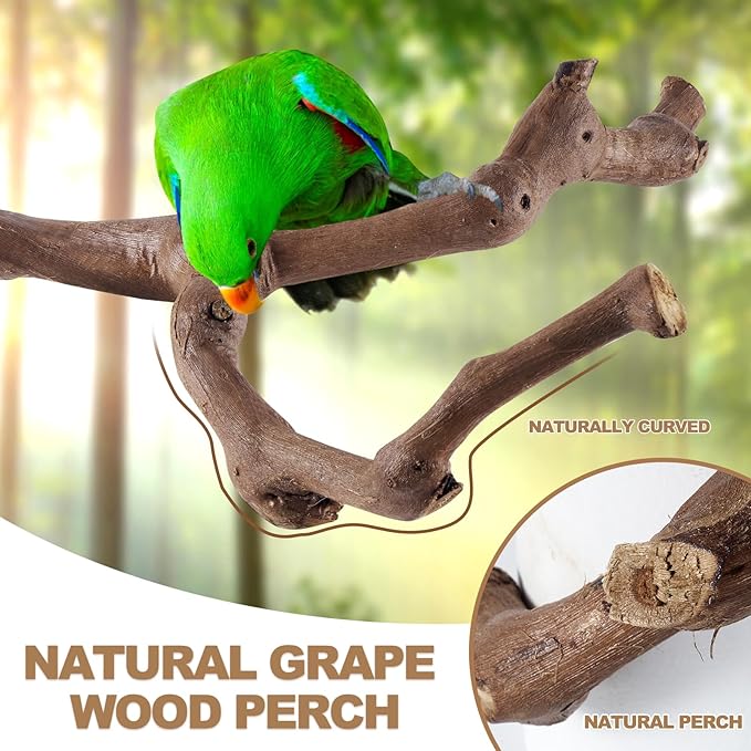 6-Piece Bird Perch Set - Natural Wood Grape Sticks, Paw Grinding Forks, Bird Stand & Toys for Parakeets, Cockatiels, Conure, Budgies-PurrikoPets