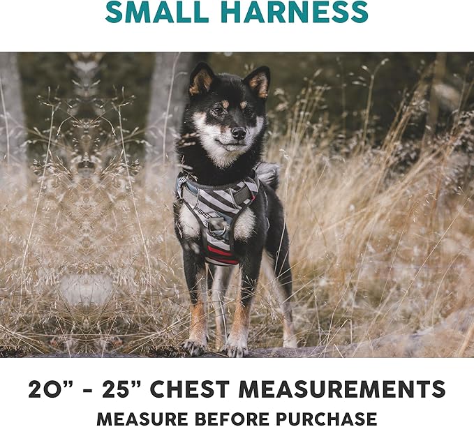 Embark Adventure Dog Harness, Reflective Trim No Pull Dog Harnesses for Small Sized Dogs - Military Grade Nylon, Front Clip with Gel Lined Handle.-PurrikoPets