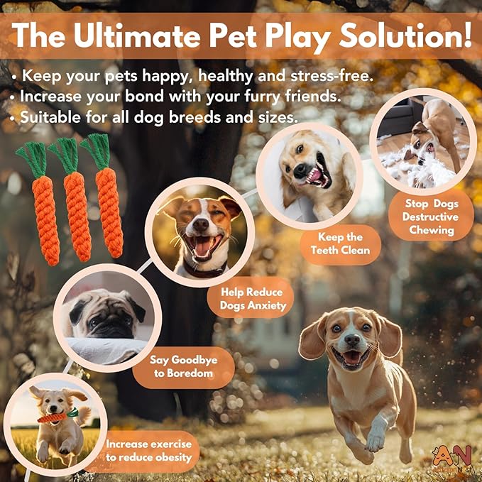 3PCS Orange Woven Pet Chew Set, Puppy Teething Chews, Dog Chew Treats, Cat Teething Playset, Safe Braided Chews for Pets, Durable & Interactive-PurrikoPets