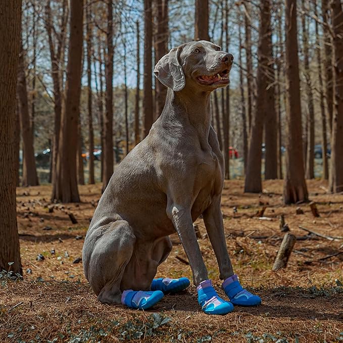 Dog Shoes, Waterproof Dog Boots & Paw Protectors with Anti-Slip Sole, 4pcs/Set Pet Dog Booties, Reflective Dog Shoes for Small Medium Large, Winter Snowy Summer Hot Pavement (Blue, 3# (XS))-PurrikoPets