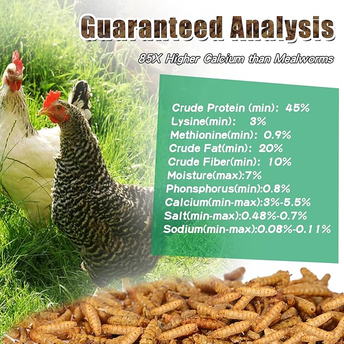 Dried Black Soldier Fly Larvae, 85X More Calcium Than Mealworms High-Protein BSF Larvae Chicken Treats Non-GMO BSFL for Chickens, Hens, Ducks, Wild Birds 5LBS-PurrikoPets