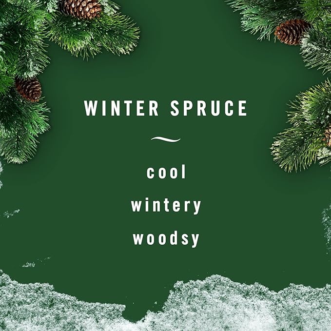 Febreze Small Spaces Air Freshener Limited Edition Scents (Winter Spruce, 2 Pack)-PurrikoPets