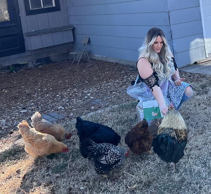 10lbs Dried Mealworms - Premium Non-GMO Chicken Feed, Nutritious High Protein Meal Worms- Food and Treats for Laying Hens, Wild Birds, Ducks, Chicken-PurrikoPets