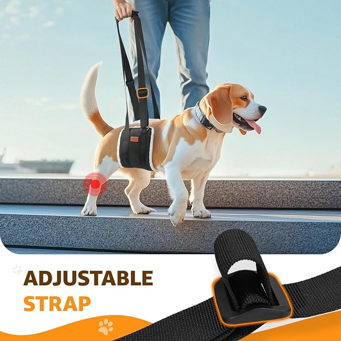 Adjustable Dog Lift Harness, Dog Sling for Large Dogs Lift Support and Rehab Harness for Weak Rear Legs, Soft Hind Leg Support Helps Senior, Injured, Disabled and After ACL Surgery Dogs(Black,Medium)-PurrikoPets