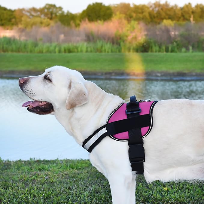 Dogline Dog Harness, Reflective No-Pull Adjustable Vest with Handle for Walking, Training, Breathable, No - Choke Harness for Small, Medium or Large Dogs Room for Patches Girth 33"-46" in Pink-PurrikoPets