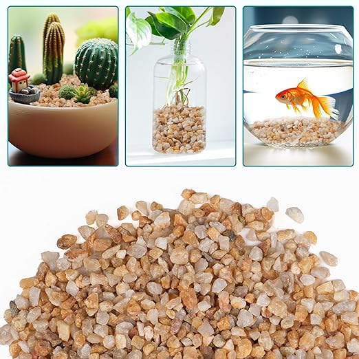 2.5 lbs Coarse Sand for Plants, 1/5 Inch Horticultural Sand for Vases, Aquariums, Terrarium, Fish Tank, Drainage Rocks for Potted Plants, Bamboo, Succulent, Crafts, Cactus-PurrikoPets