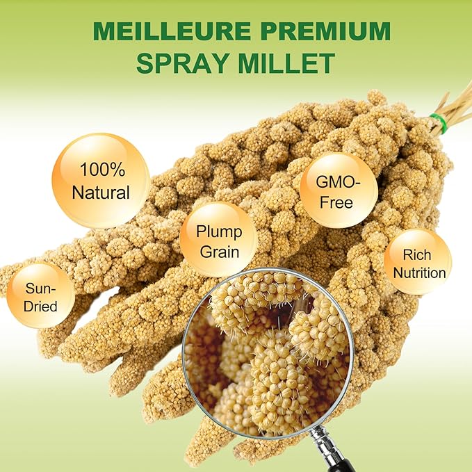 2LB Spray Millet Bird Treat for Parakeets, Natural Sun-Dried Birds Millet Spray for Parrots, Finches, Cockatiel, Budgie & Hamster, Bird Food Bulk-PurrikoPets