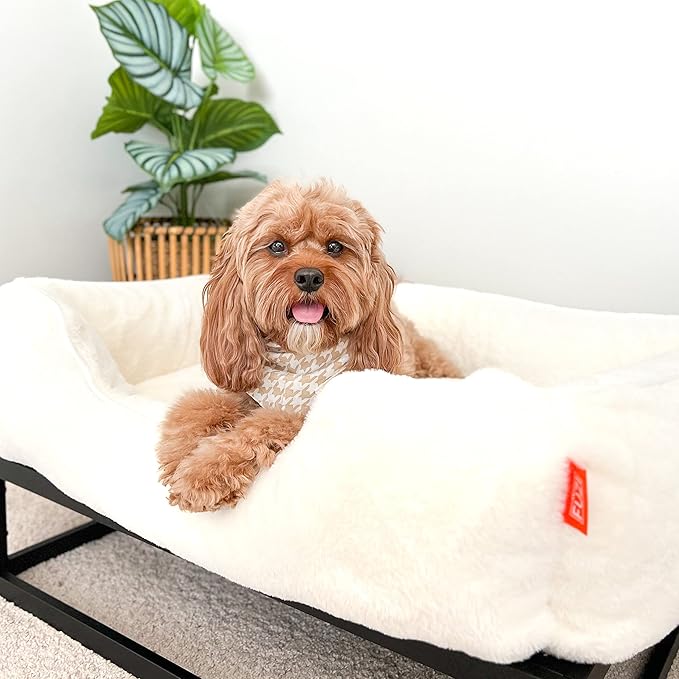 FUZI Luxury Aesthetic Dog Bed for Medium Dogs with Washable Cover, Pet Couch, Pet Bed with Sides, Non-Slip Bottom, Soft and Durable Calming Dog Bed, Faux Rabbit Fur, Medium 31.75x23.6x9.5 Soft White-PurrikoPets