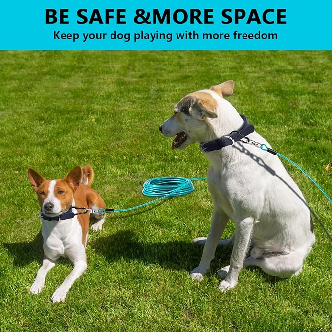 Dog Tie Out Cable 30FT-500Lbs,Heavy Duty Dog Leads Line for Yard with Swivel Hook,Medium Large Dogs Leash&Chains for Outside,Rust Chew Proof Dogs Run Cable for Outdoor Camping (Teal, 30FT)-PurrikoPets