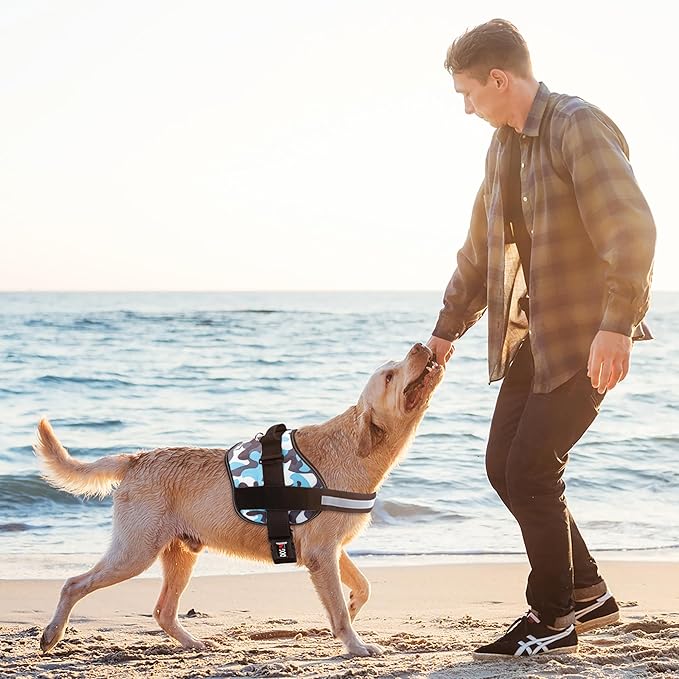 Dogline Dog Harness, Reflective No-Pull Adjustable Vest with Handle for Walking, Training, Breathable, No - Choke Harness for Small, Medium or Large Dogs Room for Patches Girth 22"-28" in Blue Camo-PurrikoPets