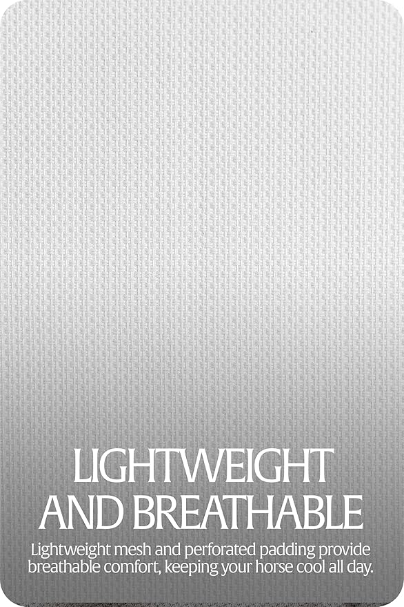 Equinavia Algard Soft Mesh Horse Fly Mask with Ear Protection and 45 UPF Rating | No Eye Irritation & UV Protection - Silver/Turquoise - Warmblood-PurrikoPets