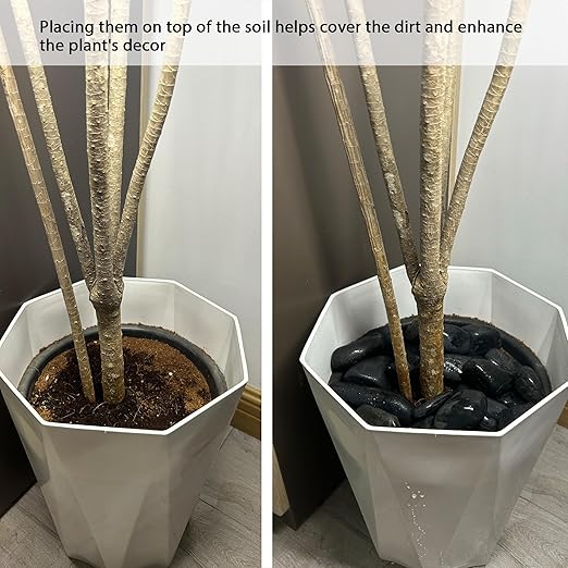 18LB 1"-2" Black River Rocks for Plants, Polished Pebbles for Garden Landscaping, Planters, Aquariums, Vase Fillers – Indoor & Outdoor Decor-PurrikoPets