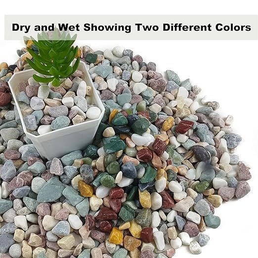 15LB Succulents Rocks for Plants Cactus Gravel Pebbles for Fish Tank 1/2 Inch Natural River Rocks for Vase, Aquarium, Landscaping,Bonsai,Terrarium Pebbles, Mixed Color-PurrikoPets