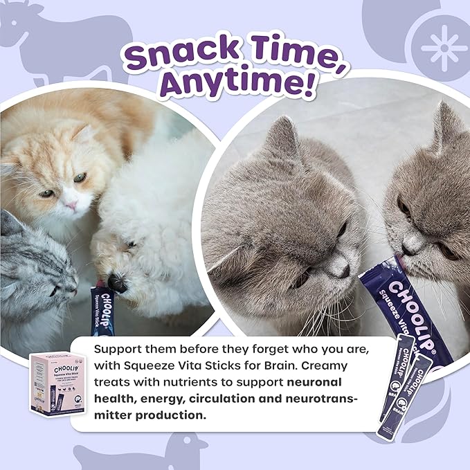 Grab & Go Squeeze Vita Stick Lickable Treats for Dogs & Cats. 49 Brain Support Sticks with Essential multivitamins. Soft and Tasty Paste for All Life Stages, Supporting Brain Health-PurrikoPets